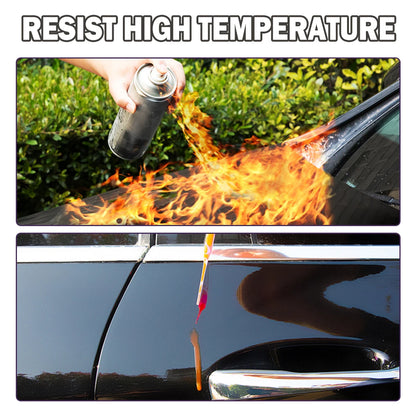 High Protection Fast Nano Ceramic Coating Spray